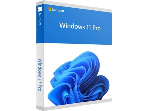Windows 11 Pro